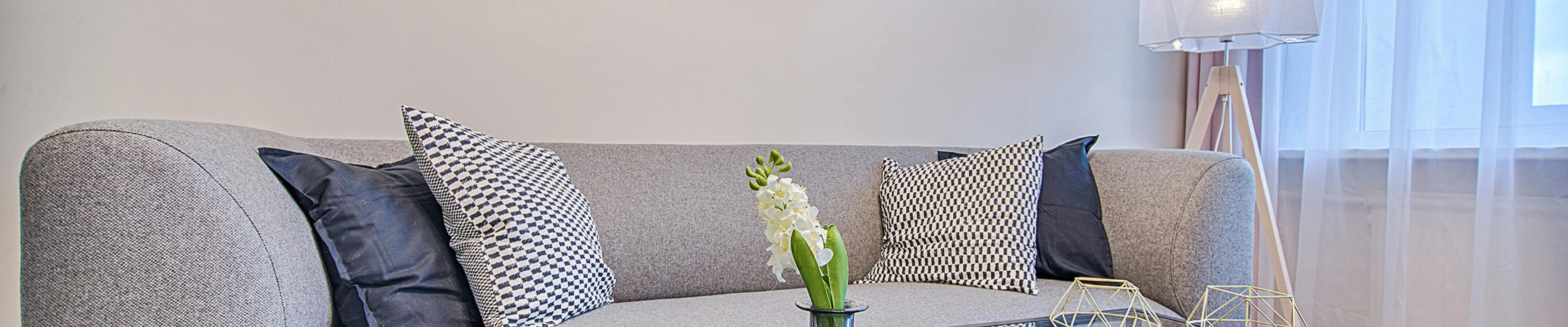 Baking Soda Remove Odor from Carpet: A Simple Guide to Fresh Floors