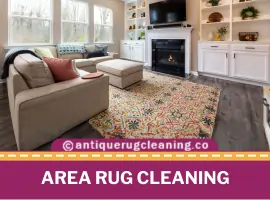 Area Rug Cleaning
