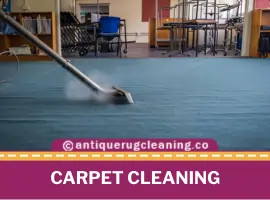 Carpet Cleaning