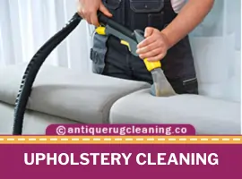 Upholstery Cleaning