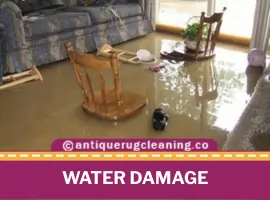 Water Damage