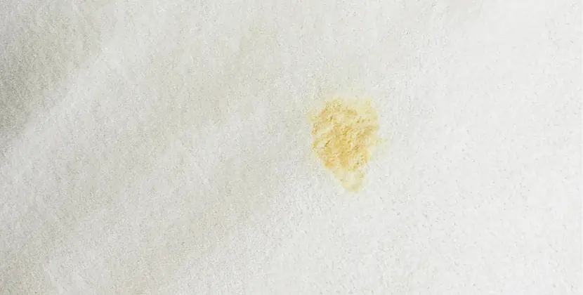 Baking Soda Remove Odor from Carpet: A Simple Guide to Fresh Floors